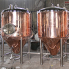 啤酒发酵罐 啤酒酿造设备 啤酒设备